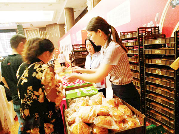【延伸楼盘品质】豫中桂园盛大开盘，威廉希尔物业助力护航