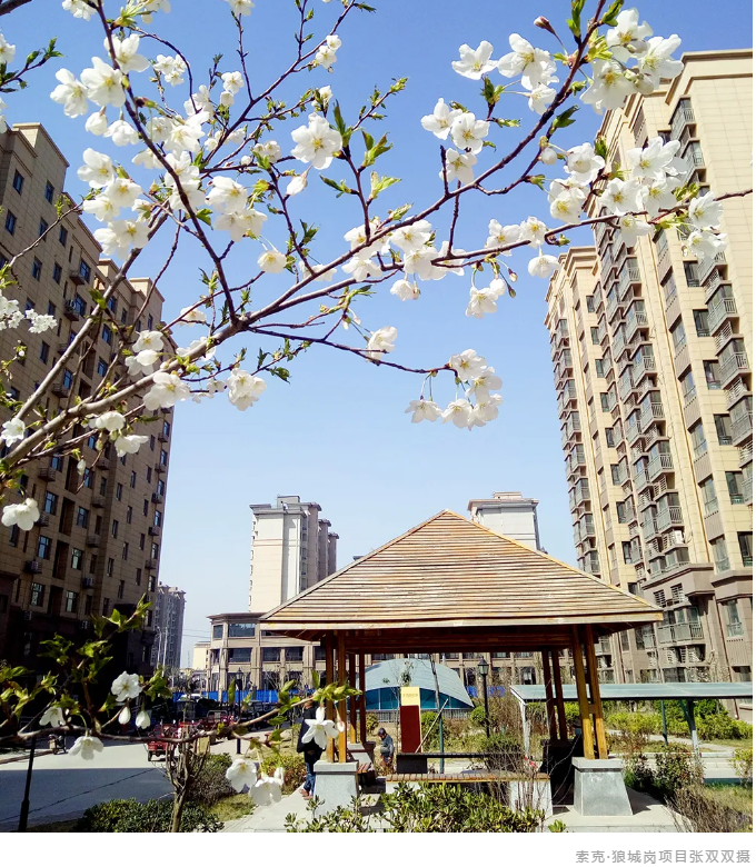 威廉希尔邀您云踏青，守护春天守护您
